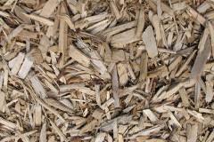 biomass boilers Riding Mill